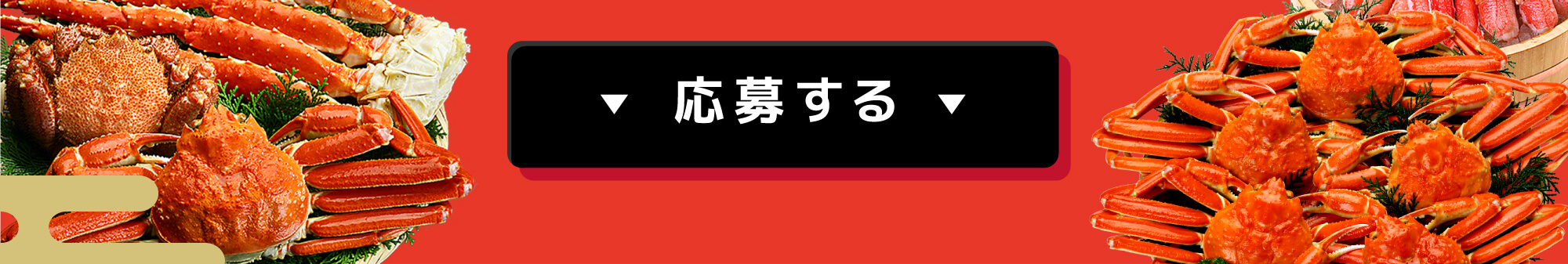 応募はこちら
